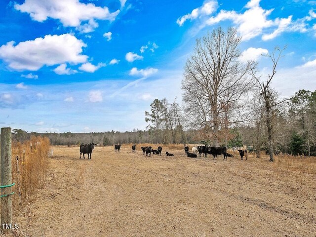 view of local wilderness featuring a rural view