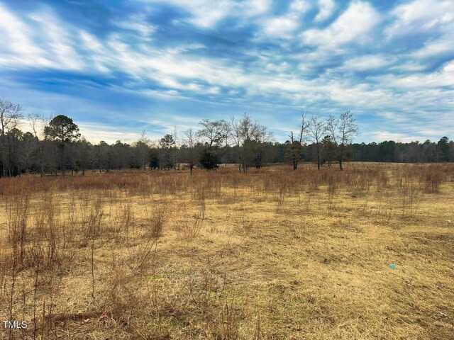 view of local wilderness with a rural view