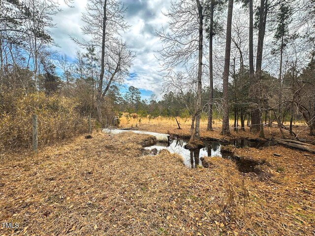 view of yard with a water view