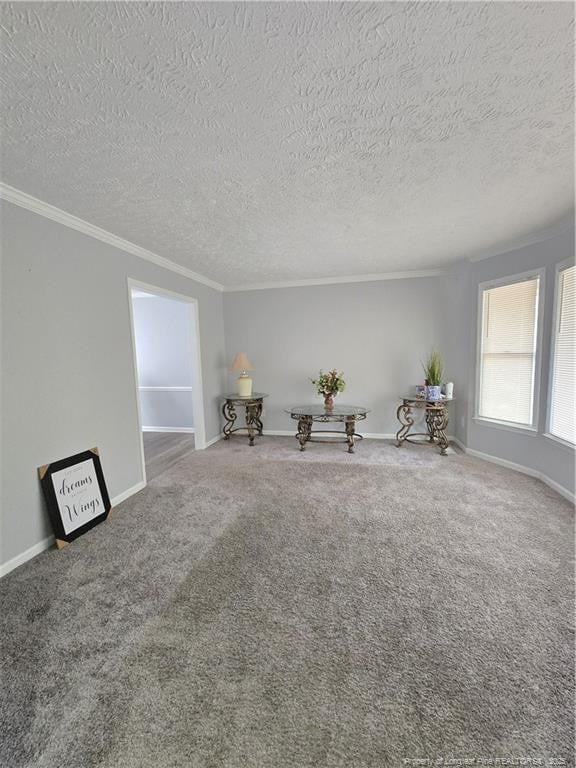 unfurnished room with ornamental molding, carpet, and a textured ceiling