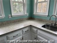 kitchen with sink and gray cabinetry