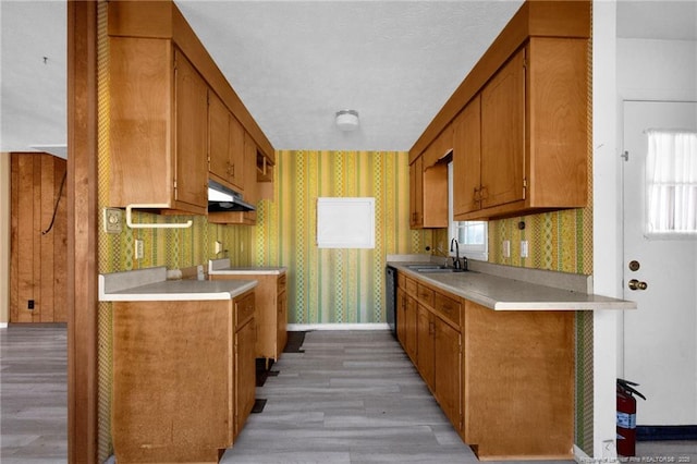 kitchen featuring sink and light wood-type flooring