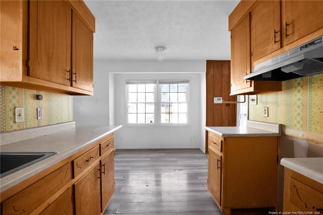 kitchen with sink, light hardwood / wood-style flooring, and a textured ceiling