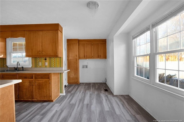 kitchen featuring light hardwood / wood-style floors, sink, and decorative backsplash