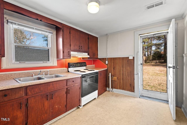 kitchen featuring white range with electric cooktop, plenty of natural light, wooden walls, and sink