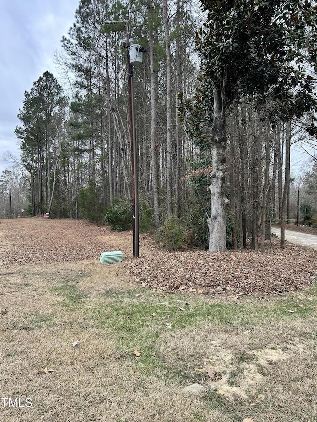 113 Pair St, Knightdale NC, 27545 land for sale