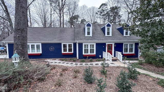 view of cape cod home