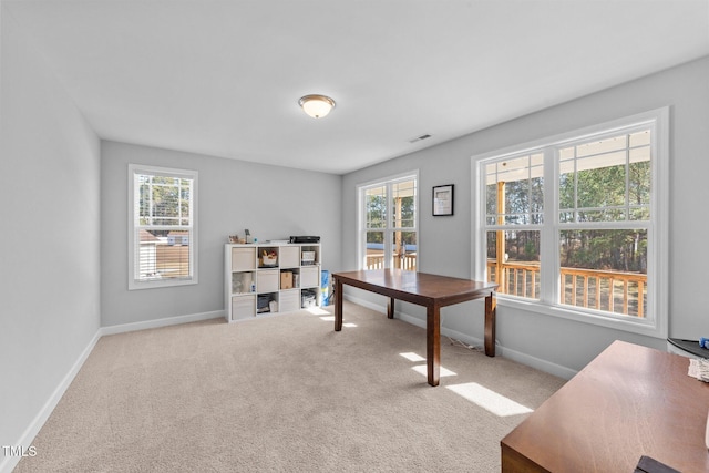 office featuring light colored carpet and a healthy amount of sunlight