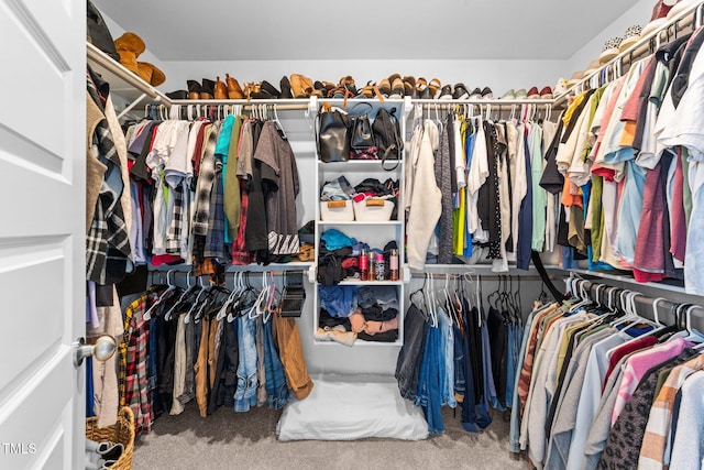 walk in closet featuring carpet flooring