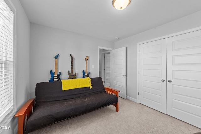 sitting room with a healthy amount of sunlight and carpet floors