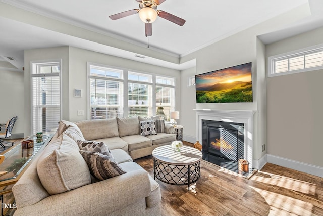 65 Balsam Ln, Clayton, NC 27527 - living area featuring wood finished floors, a ceiling fan, a fireplace with flush hearth, and ornamental molding
