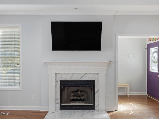 details featuring hardwood / wood-style flooring, ornamental molding, and a fireplace