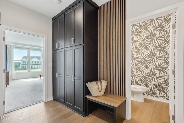 mudroom featuring light hardwood / wood-style floors