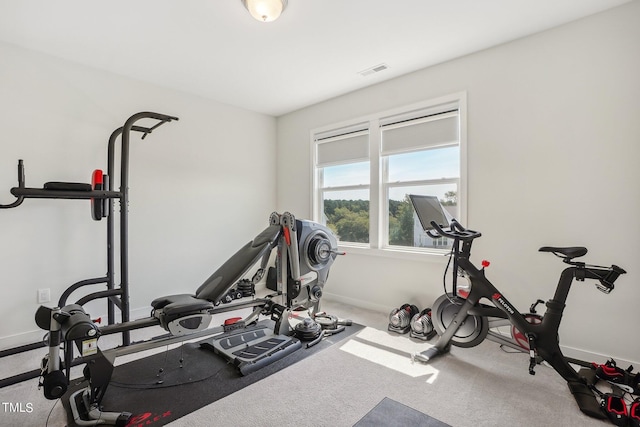 workout area featuring carpet