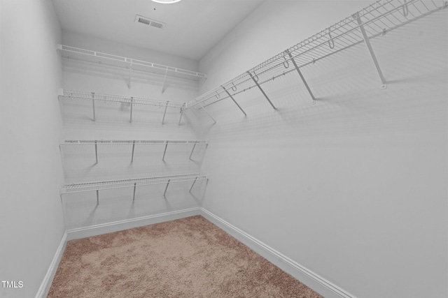 spacious closet with carpet floors