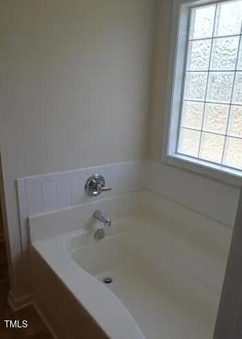 bathroom with a bathing tub