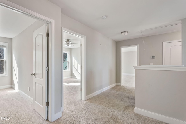 hallway featuring baseboards, attic access, and light colored carpet