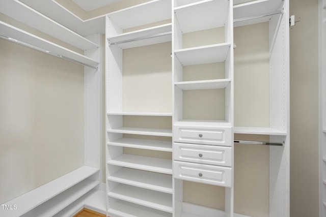 view of spacious closet