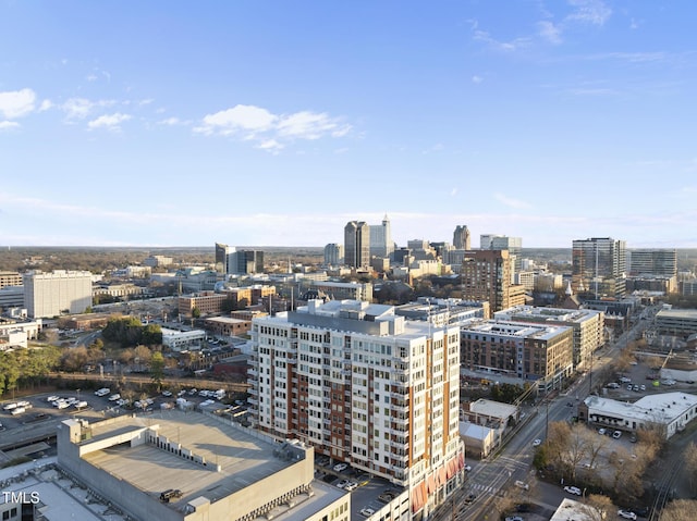 property's view of city