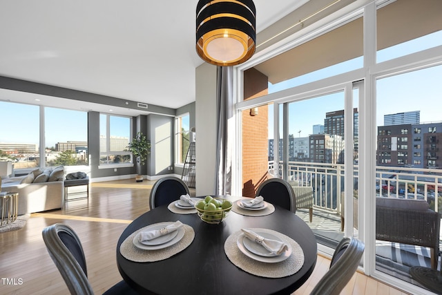 dining area with light hardwood / wood-style flooring