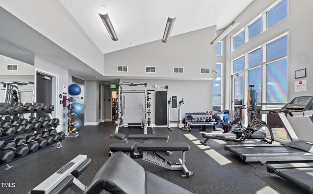 400 W N St Unit 730, Raleigh, NC 27603 - workout area with high vaulted ceiling