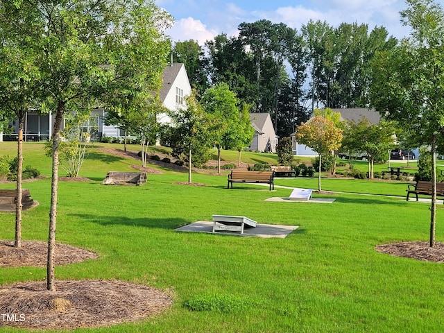 view of community with a yard