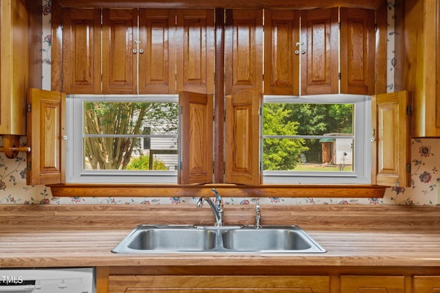 kitchen featuring plenty of natural light, dishwasher, and sink