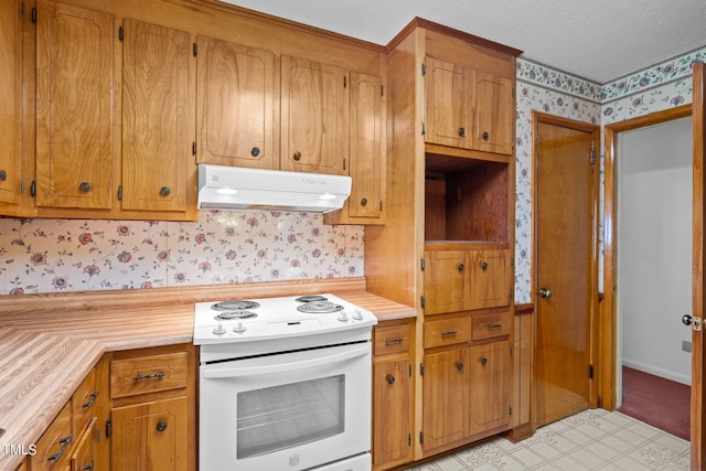 kitchen featuring white electric stove and a textured ceiling