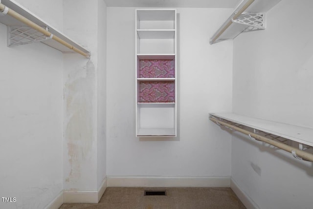 spacious closet with visible vents and carpet