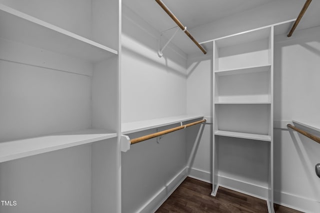 spacious closet featuring dark hardwood / wood-style flooring