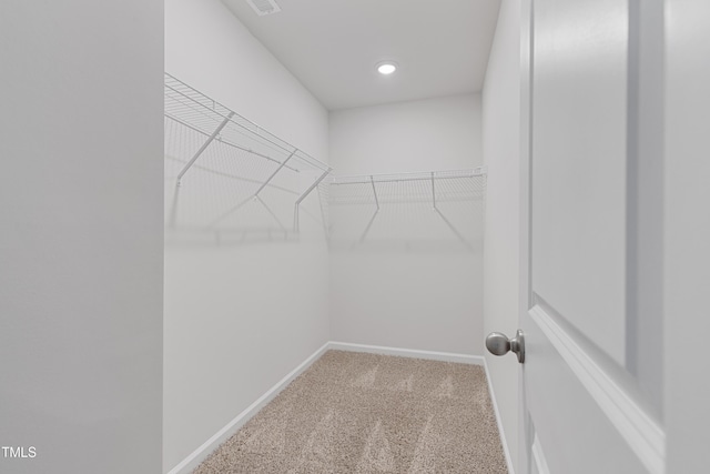 spacious closet featuring carpet floors