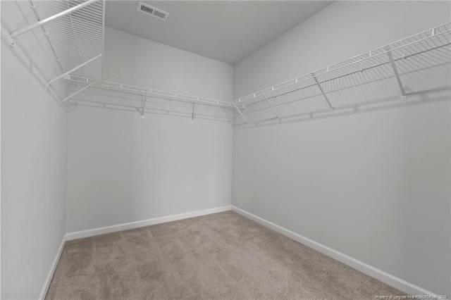 spacious closet featuring carpet floors