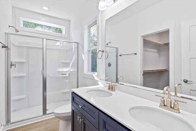 bathroom featuring vanity, plenty of natural light, an enclosed shower, and toilet