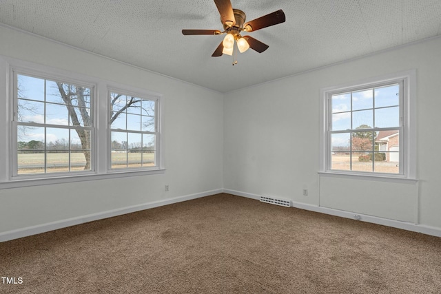 carpeted empty room featuring ceiling fan, plenty of natural light, and a textured ceiling