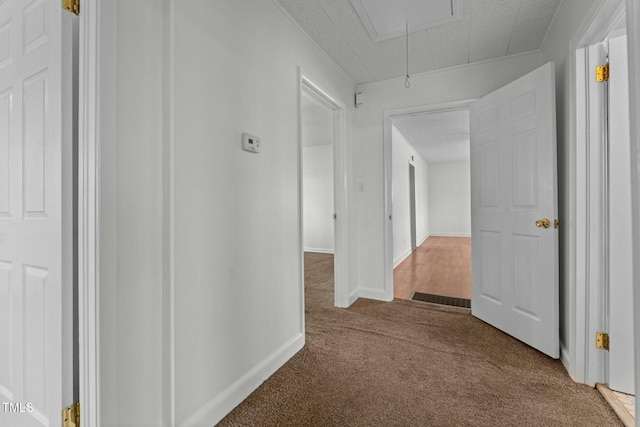 hallway with crown molding and carpet flooring