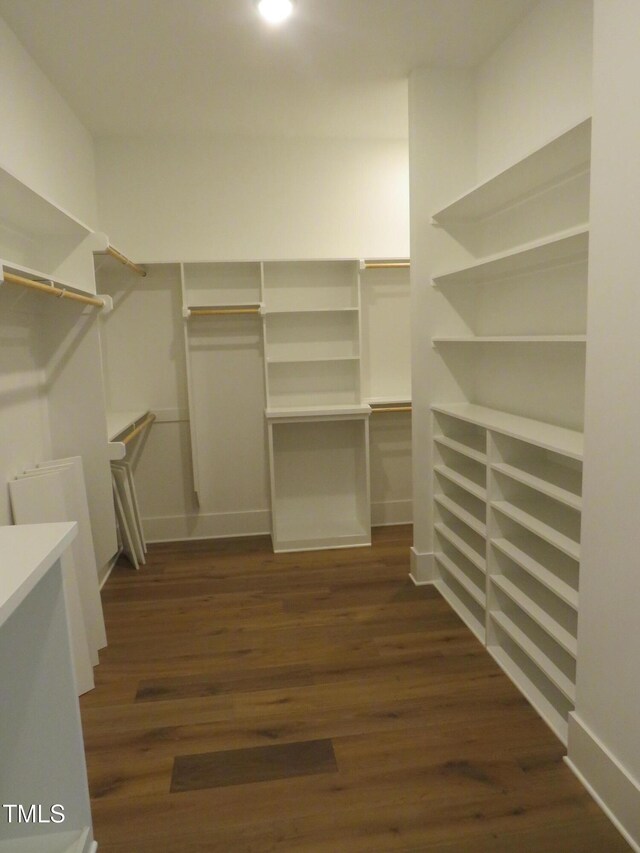 walk in closet with dark wood finished floors