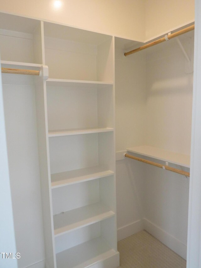 view of walk in closet