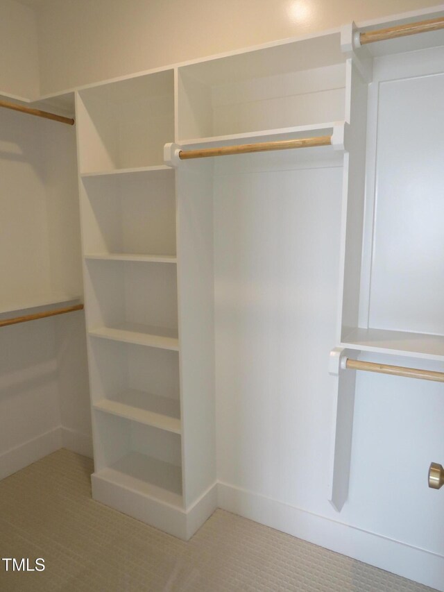view of walk in closet