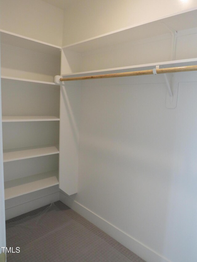 walk in closet featuring carpet