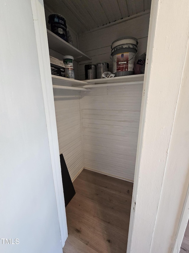 walk in closet featuring wood-type flooring