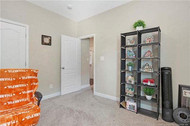 interior space with light colored carpet