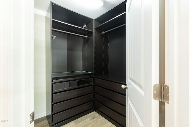 view of walk in closet