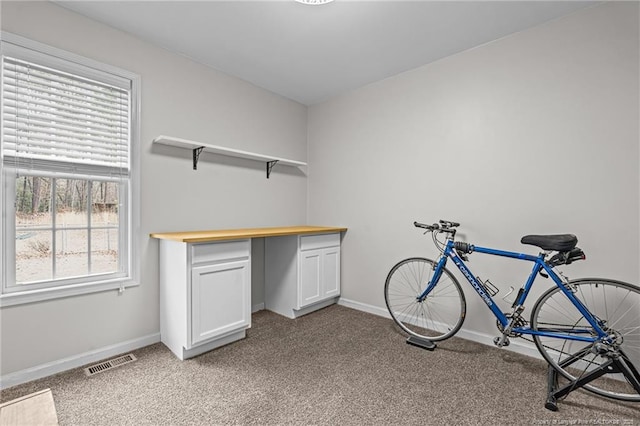 miscellaneous room with a healthy amount of sunlight and light colored carpet