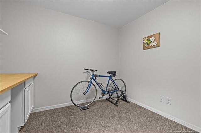 miscellaneous room featuring carpet floors