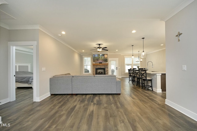 living room featuring sink, crown molding, dark hardwood / wood-style floors, and ceiling fan