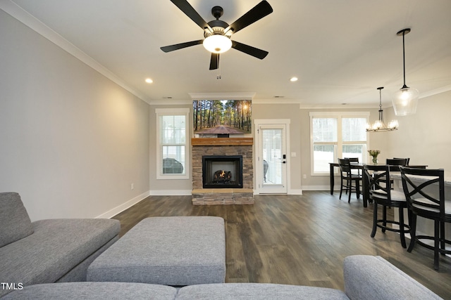 living room featuring a stone fireplace, dark wood-type flooring, ornamental molding, and ceiling fan with notable chandelier