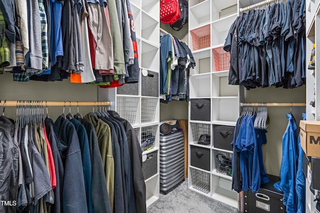 spacious closet featuring carpet