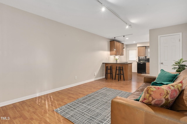 living room with track lighting and light hardwood / wood-style floors