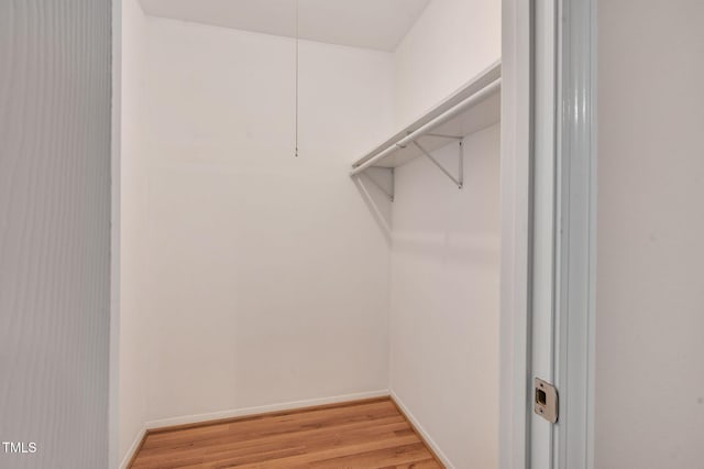 walk in closet with hardwood / wood-style floors