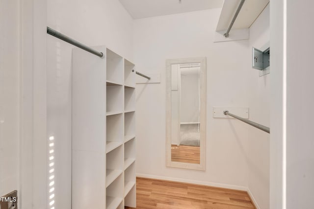 walk in closet featuring hardwood / wood-style floors